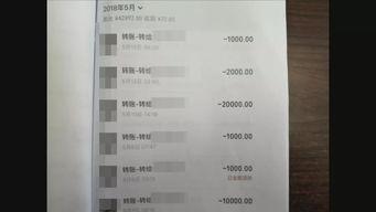 上海嘉定女主播戬浜,网络直播界的璀璨新星